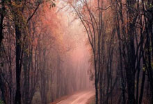 怎么在app看自己股票的佣金:全国最好股票配资平台-批量涨停！“超级牛散”章建平持仓曝光 将51亿元押注人形机器人、AI赛道